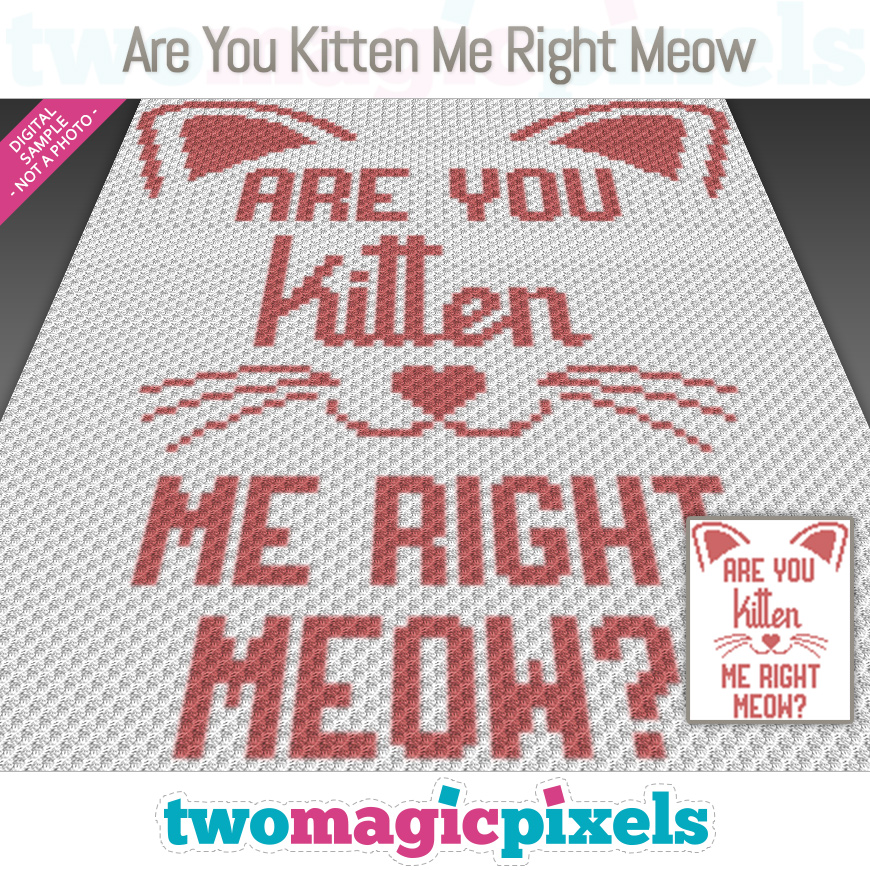 Are You Kitten Me Right Meow by Two Magic Pixels