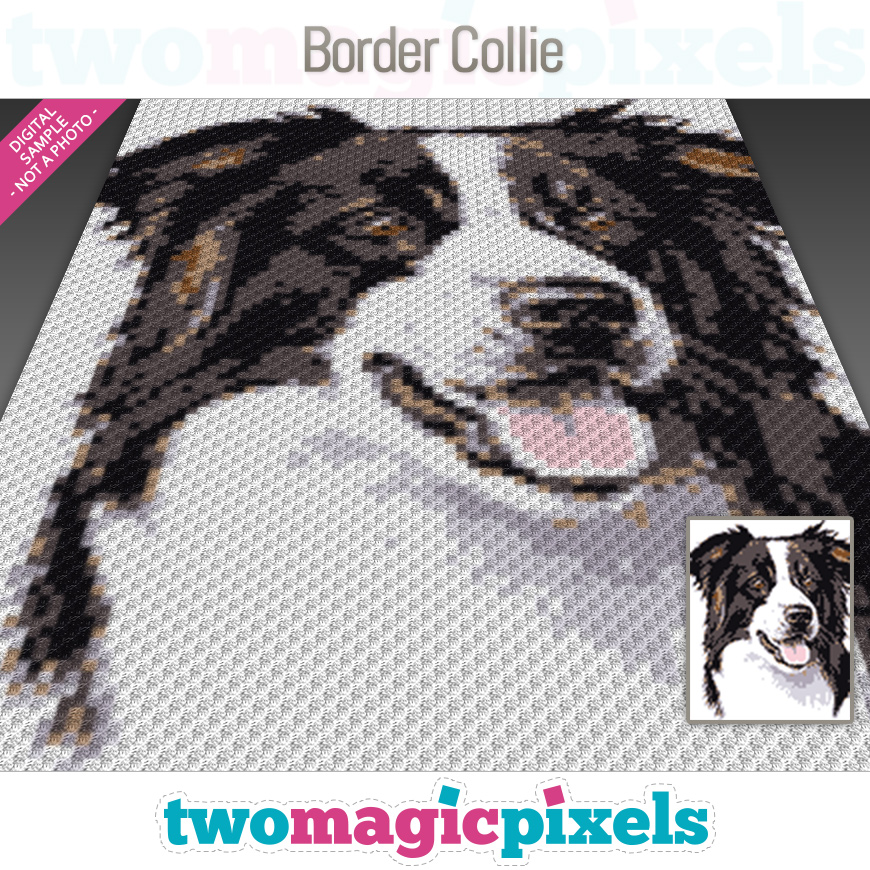 Border Collie by Two Magic Pixels