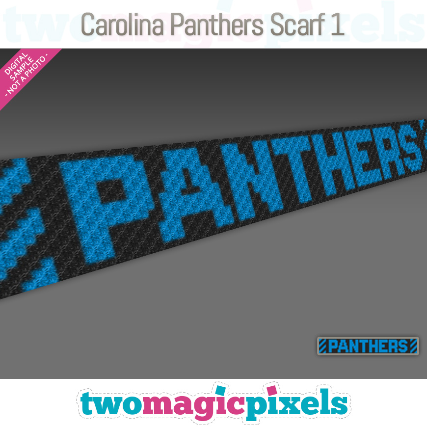 Carolina Panthers Scarf 1 by Two Magic Pixels