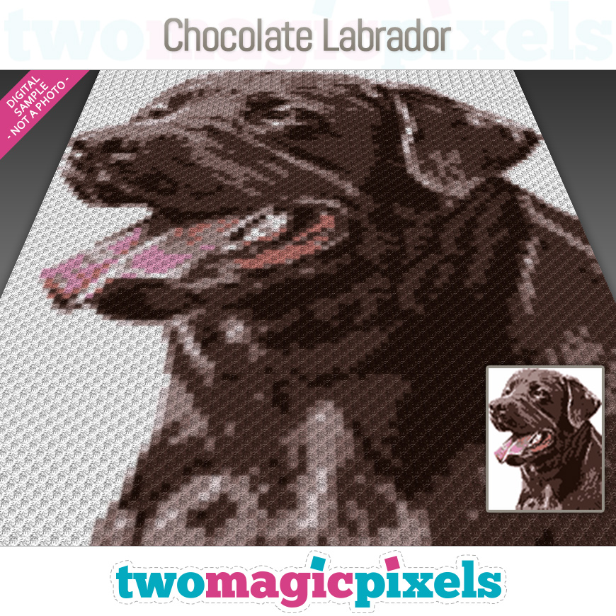 Chocolate Labrador by Two Magic Pixels