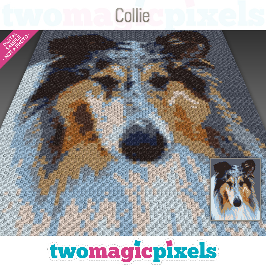 Collie by Two Magic Pixels