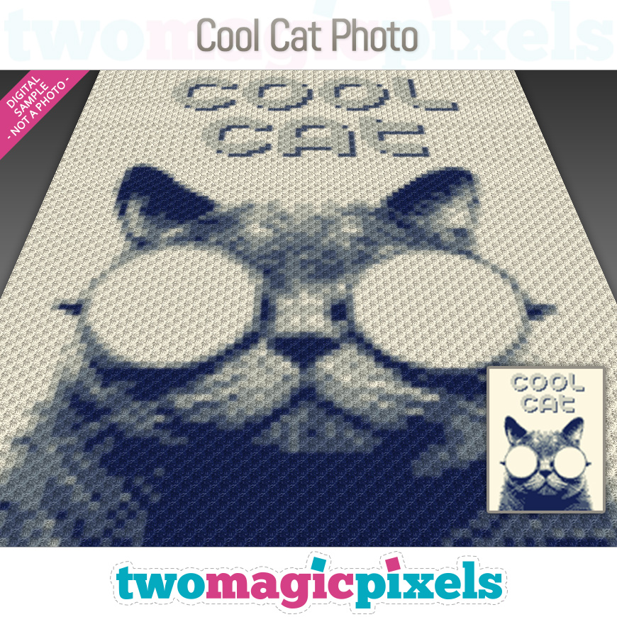 Cool Cat Photo by Two Magic Pixels