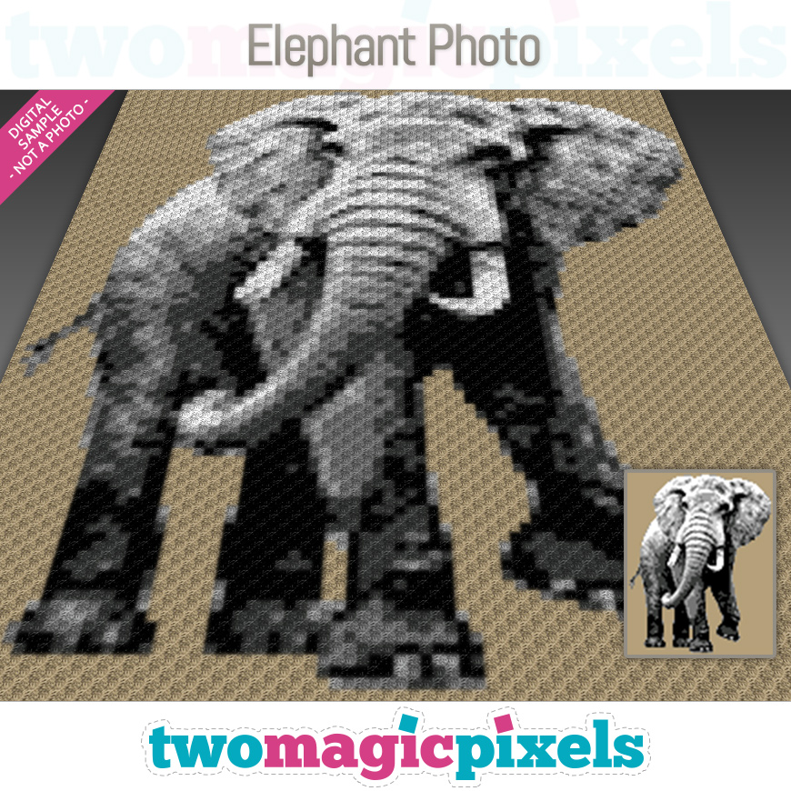 Elephant Photo by Two Magic Pixels