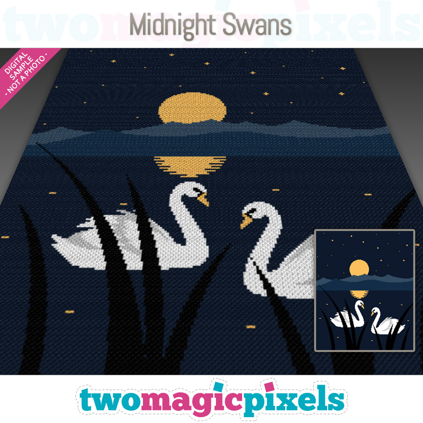 Midnight Swans by Two Magic Pixels