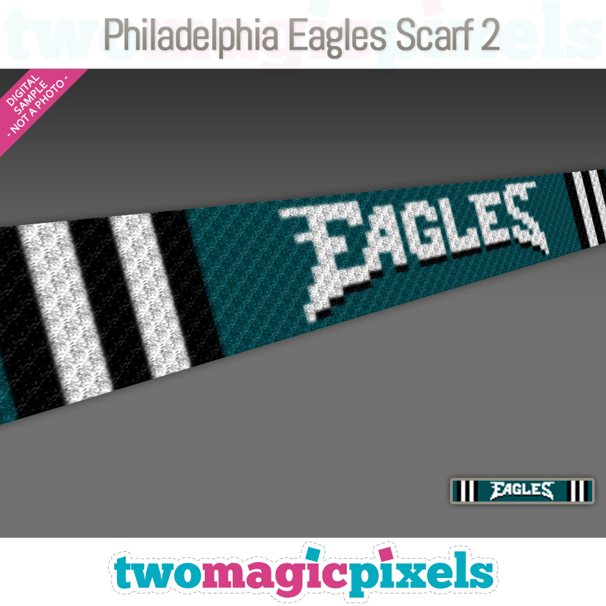 Philadelphia Eagles Scarf 2 by Two Magic Pixels