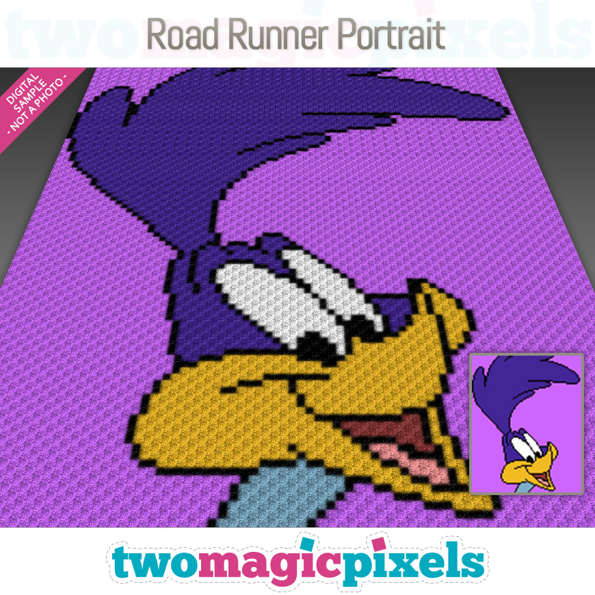 Road Runner Portrait by Two Magic Pixels