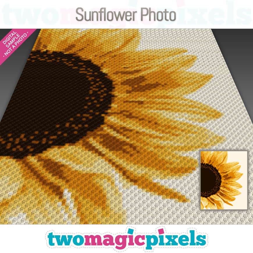 Sunflower Photo by Two Magic Pixels