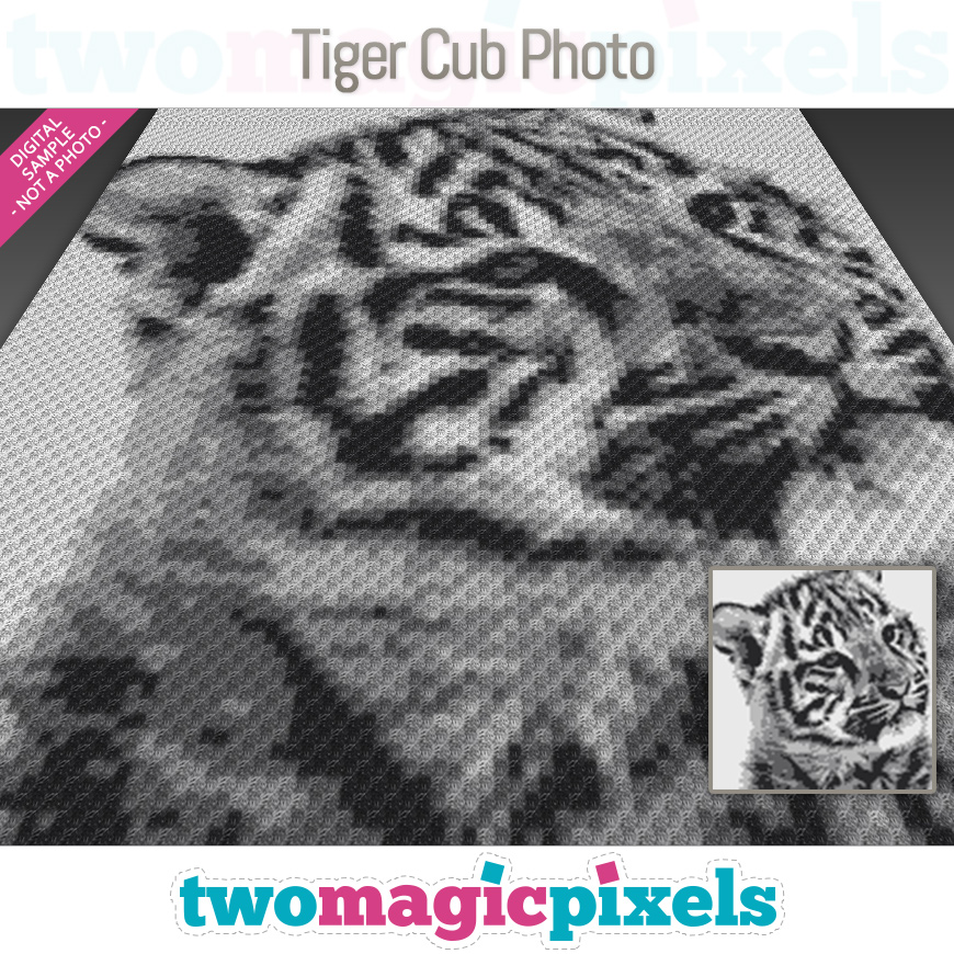 Tiger Cub Photo by Two Magic Pixels