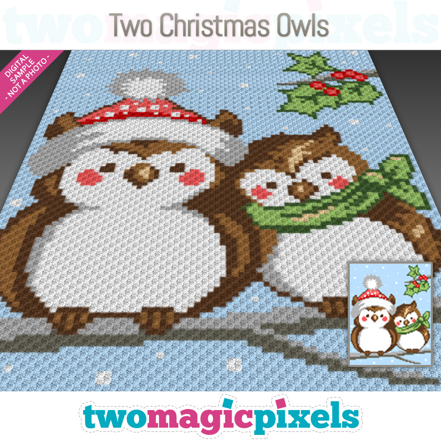 Two Christmas Owls by Two Magic Pixels