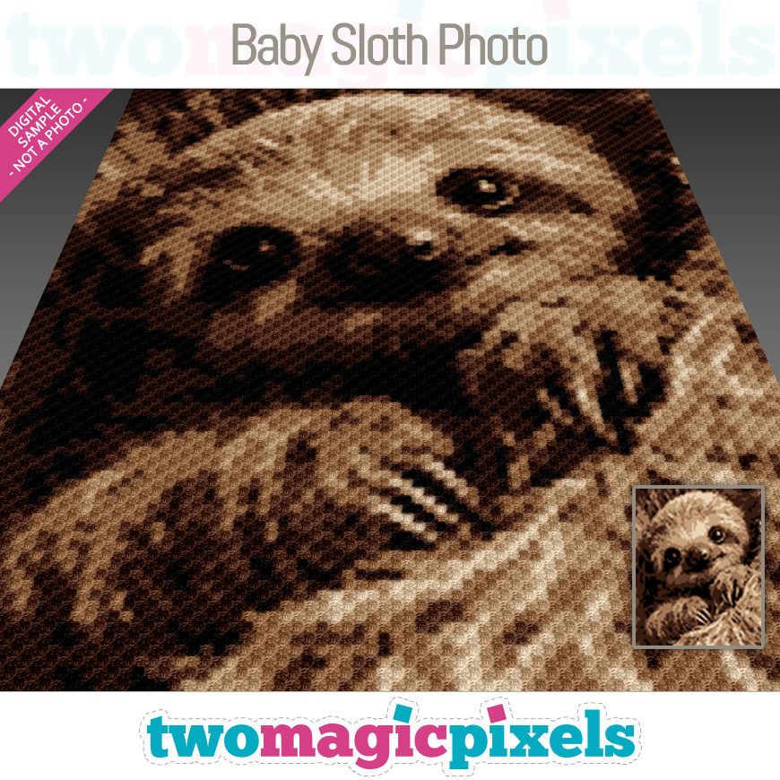 Baby Sloth Photo by Two Magic Pixels