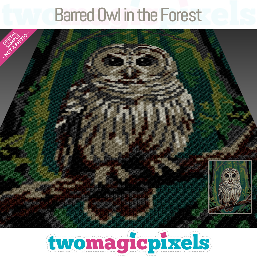 Barred Owl in the Forest by Two Magic Pixels