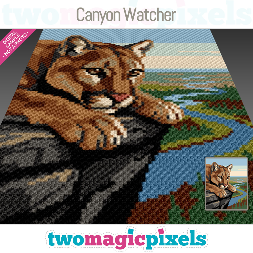 Canyon Watcher by Two Magic Pixels