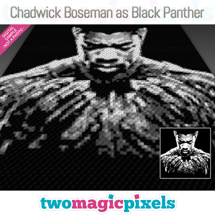 Chadwick Boseman as Black Panther by Two Magic Pixels