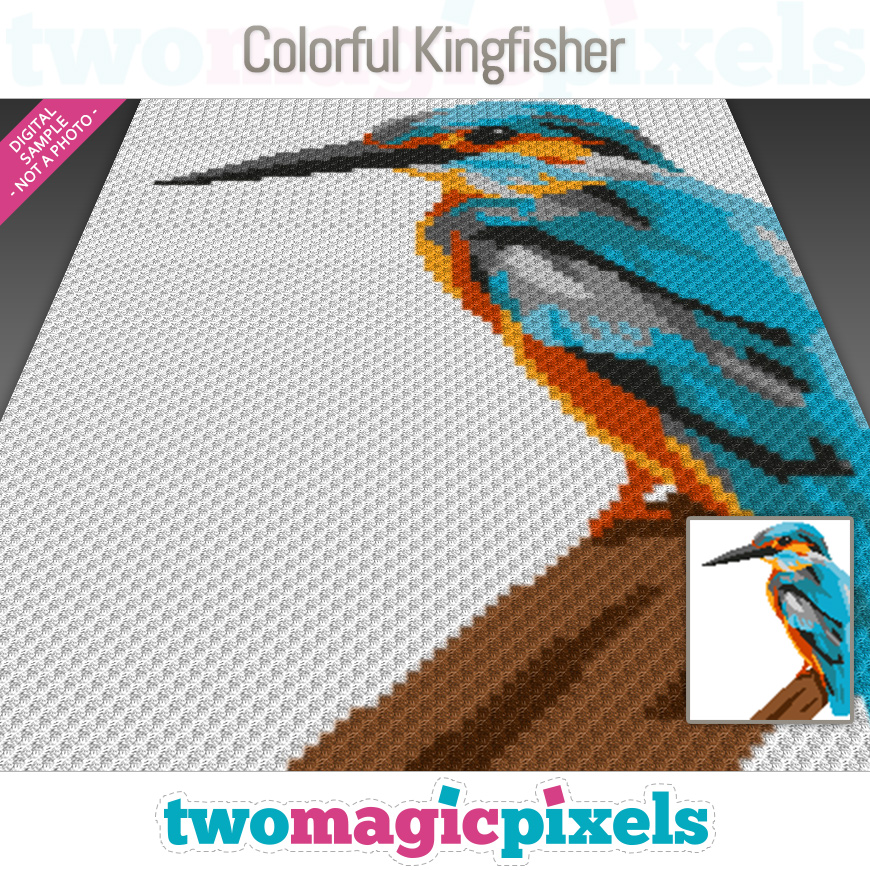 Colorful Kingfisher by Two Magic Pixels