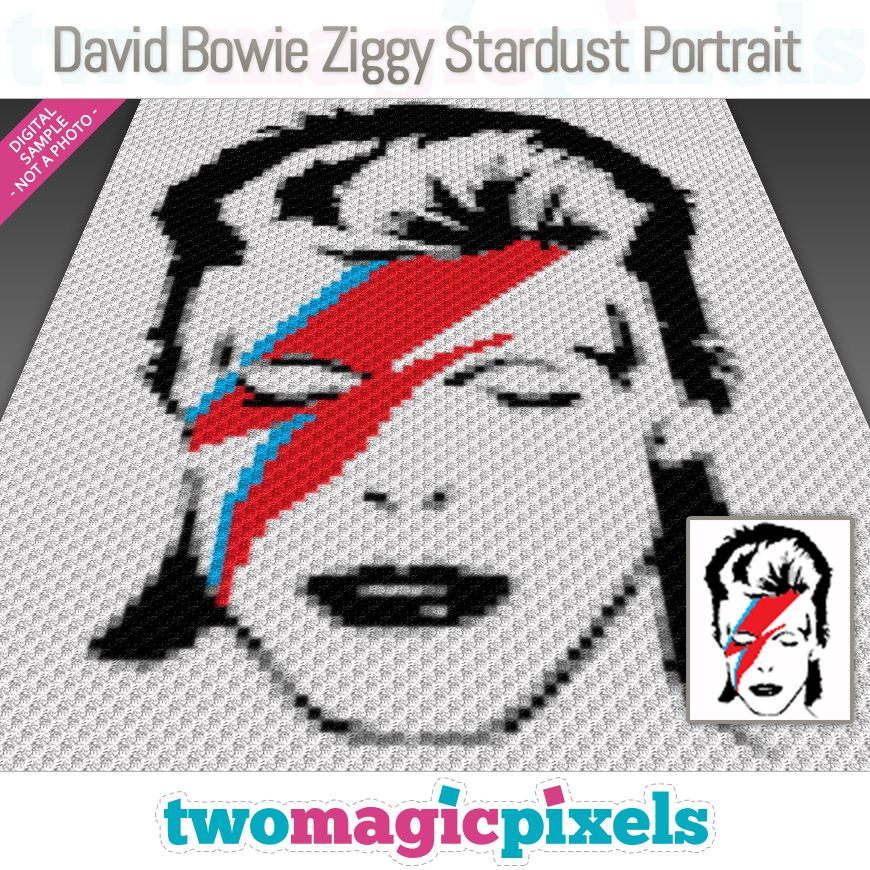 David Bowie Ziggy Stardust Portrait by Two Magic Pixels