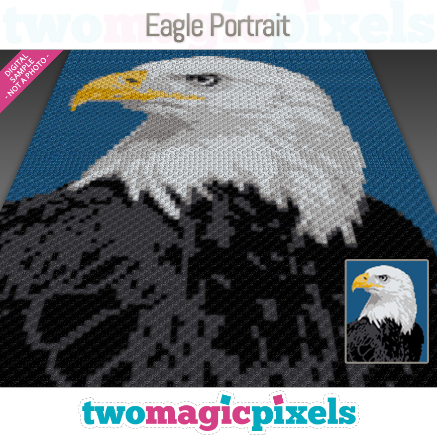 Eagle Portrait by Two Magic Pixels
