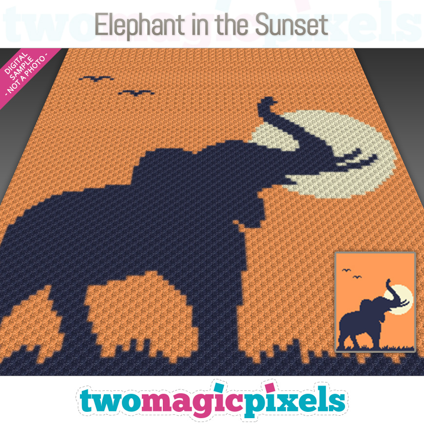 Elephant in the Sunset by Two Magic Pixels Elephant in the Sunset by Two Magic Pixels
