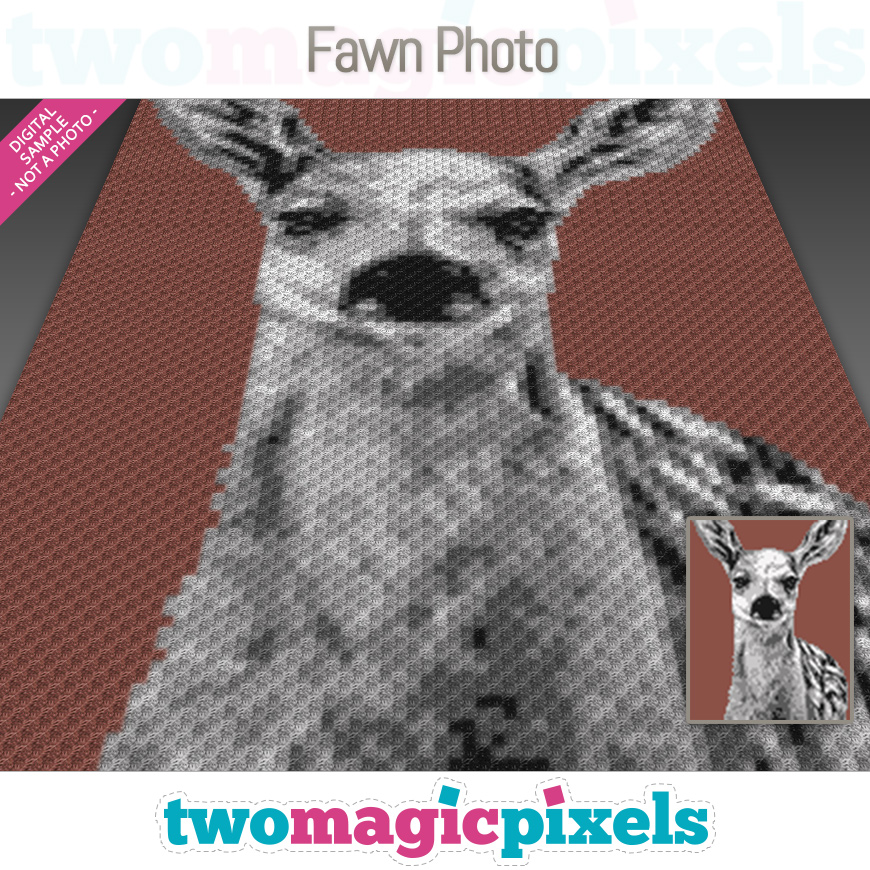 Fawn Photo by Two Magic Pixels