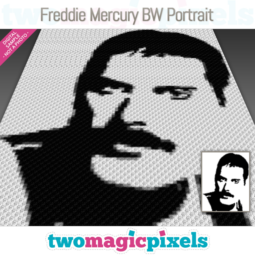 Freddie Mercury BW Portrait by Two Magic Pixels