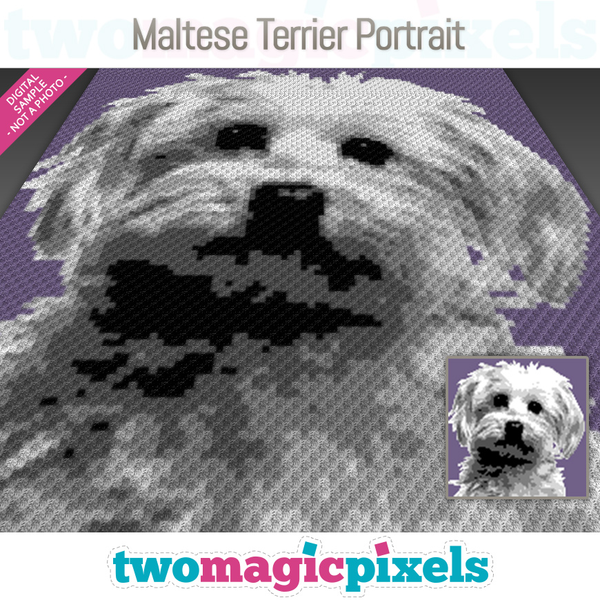 Maltese Terrier Portrait by Two Magic Pixels