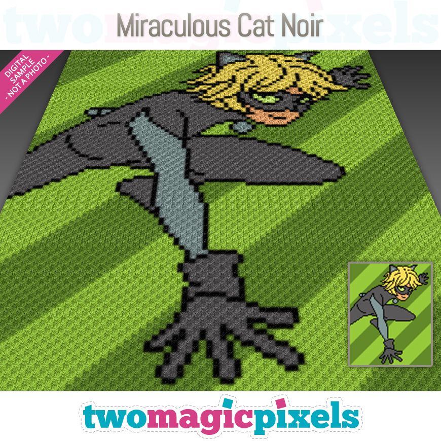 Miraculous Cat Noir by Two Magic Pixels