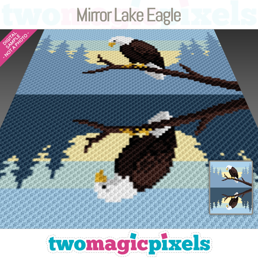 Mirror Lake Eagle by Two Magic Pixels