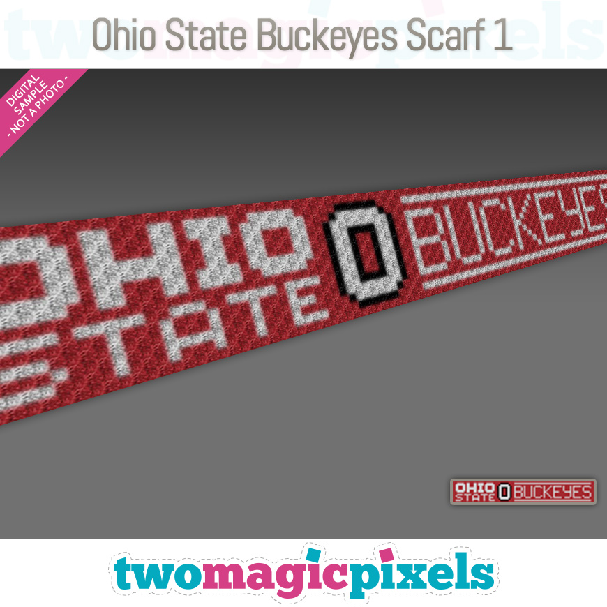 Ohio State Buckeyes Scarf 1 by Two Magic Pixels
