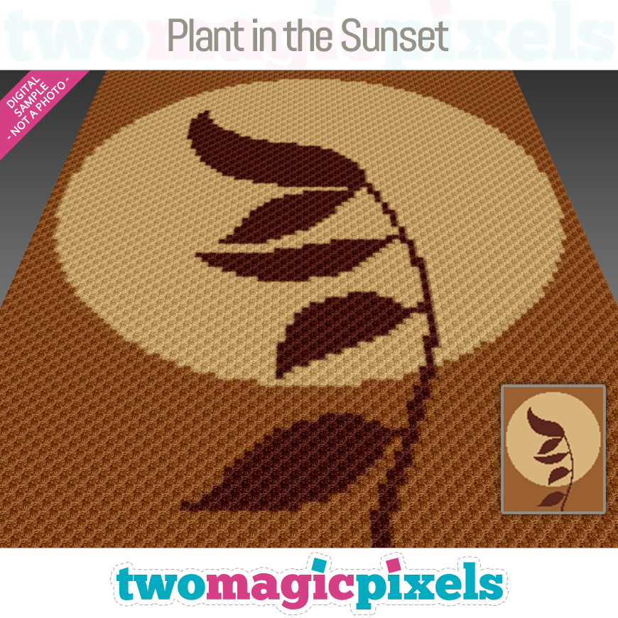Plant in the Sunset by Two Magic Pixels