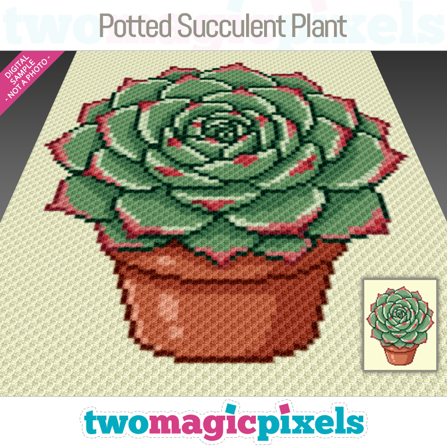 Potted Succulent Plant by Two Magic Pixels