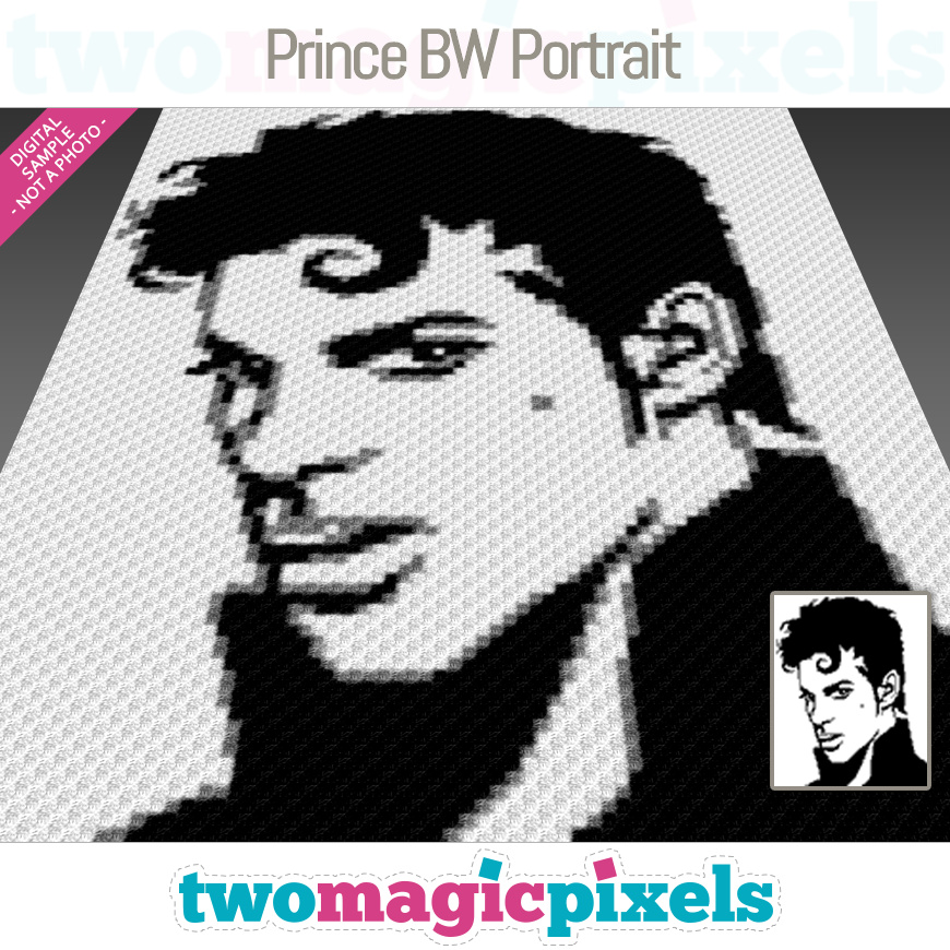 Prince BW Portrait by Two Magic Pixels