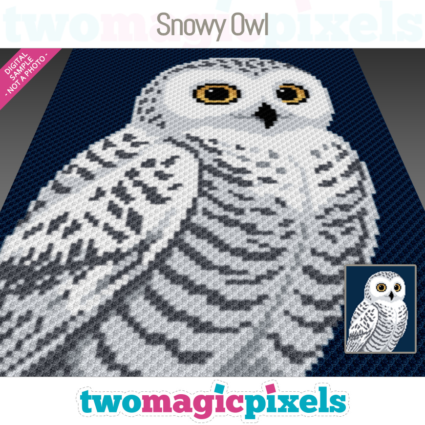Snowy Owl by Two Magic Pixels