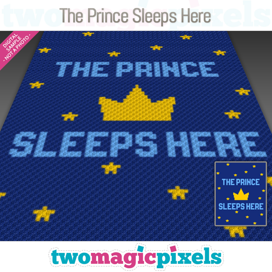 The Prince Sleeps Here by Two Magic Pixels