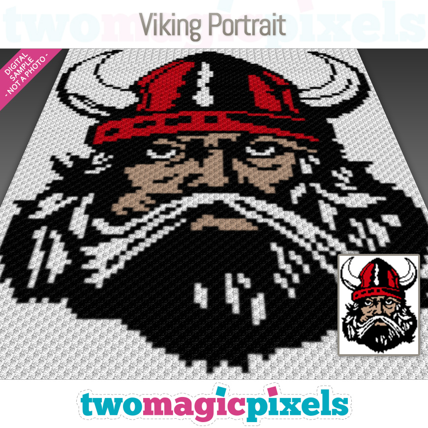 Viking Portrait by Two Magic Pixels