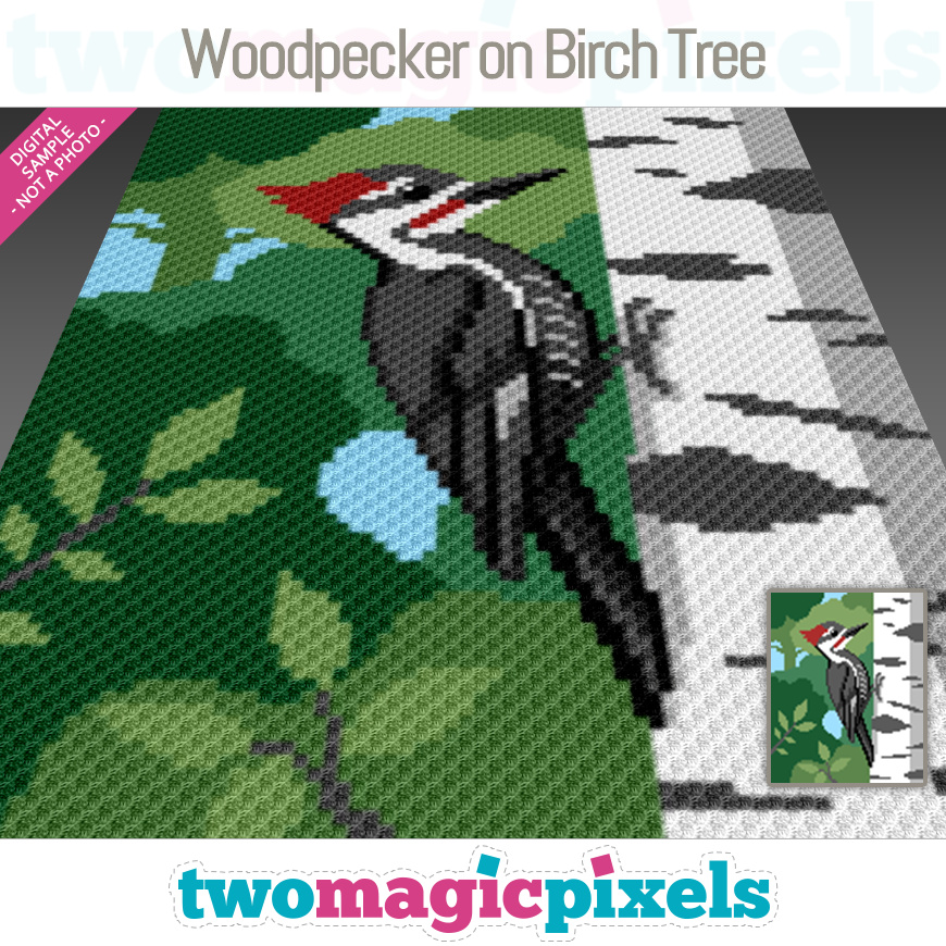 Woodpecker on Birch Tree by Two Magic Pixels